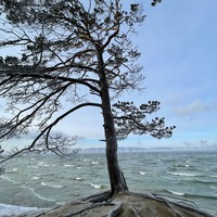 Фото отзыва 4: экскурсия "Двухдневное путешествие на остров Ольхон из Иркутска"
