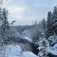 Фото отзыва 3: экскурсия "Ваш идеальный день в Карелии"
