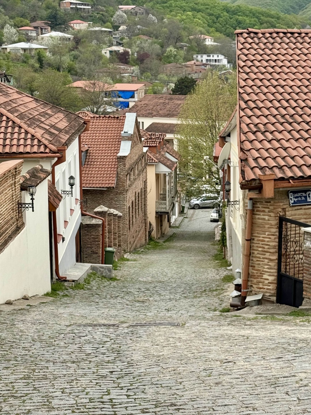 Кахетия - песнь солнца, гор и виноградной лозы (Владимир)