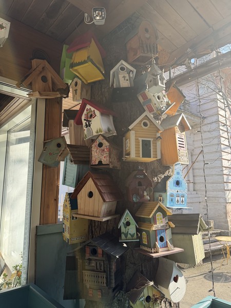 Эта была самая потрясающая экскурсия за всю неделю моего отдыха и посещения других экскурсий. Елизавета- гид