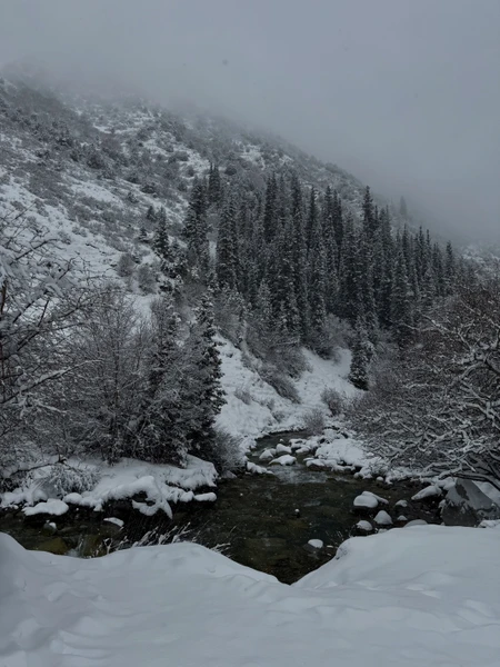 Все отлично! Большое спасибо Юрию!