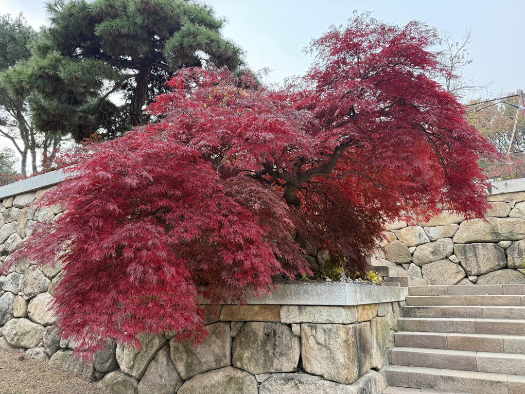 Большое спасибо, Анжела, за прекрасный день в Сеуле! Если времени мало, а хочется увидеть разные грани