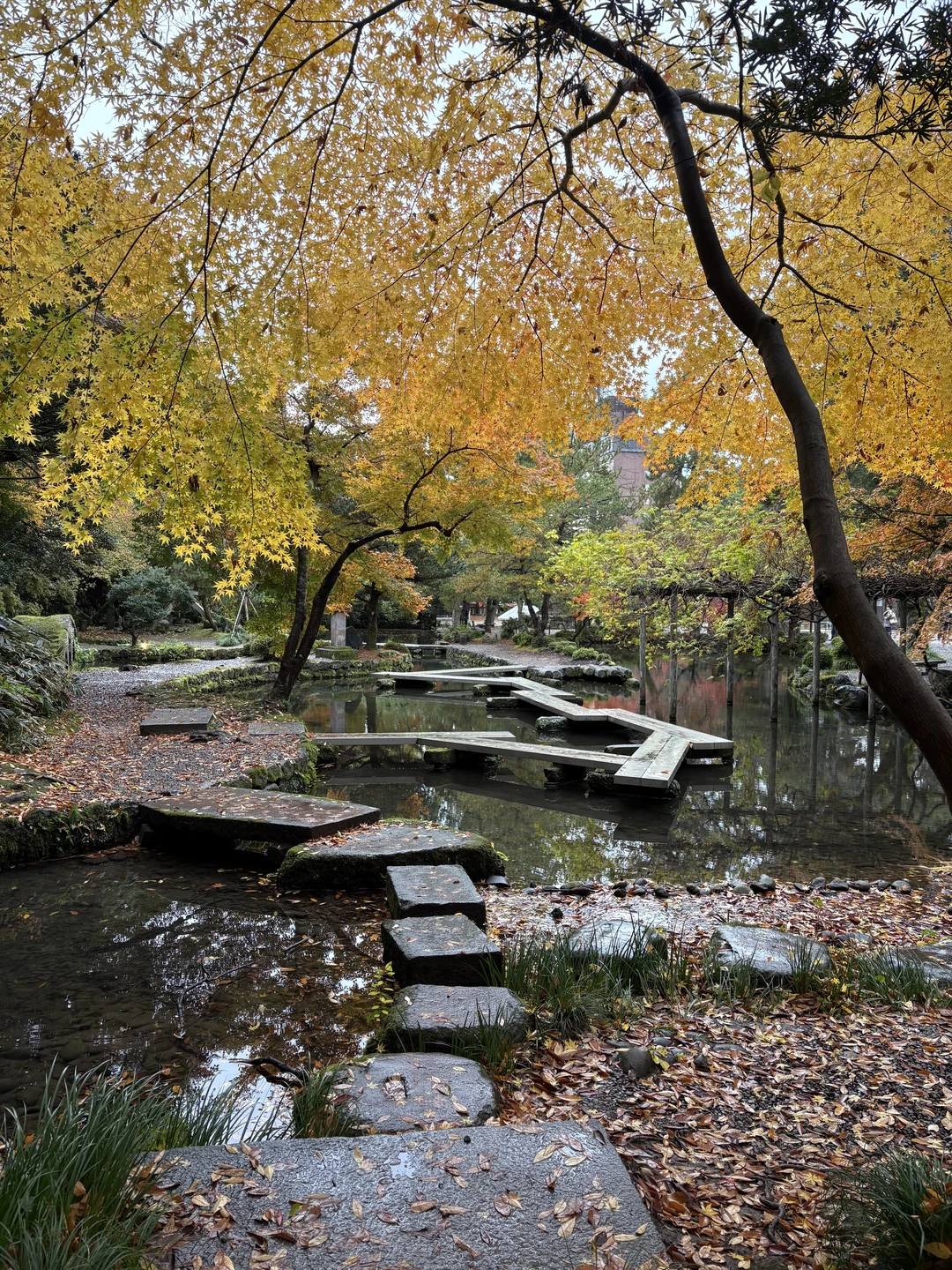 Евгений влюбил нас в этот город. Необыкновенной красоты парки и сады, интересная история, очень легкая, спокойная