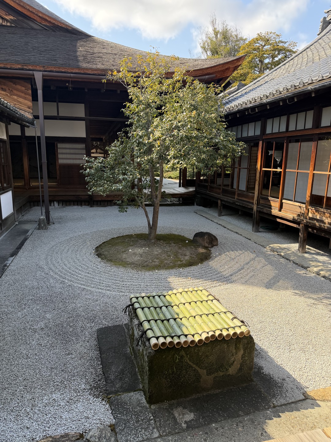 Очень понравилась экскурсия, считаю соотношение цена-качество идеальным для первого знакомства с Киото. Посмотрели все намеченное в