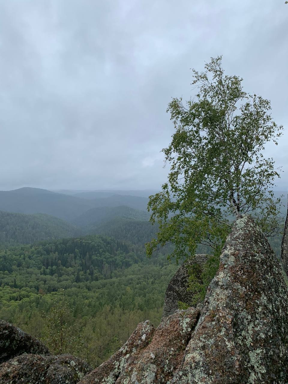 Красноярские Столбы - на один день в таёжную сказку (Анастасия)