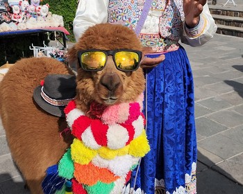 Каньон Колка