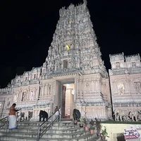 Фото отзыва 2: экскурсия "Из Куала-Лумпура — к дружелюбным лангурам и колониям светлячков"