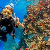 Фото отзыва 3: экскурсия "Египетские Мальдивы: групповая прогулка на яхте!"