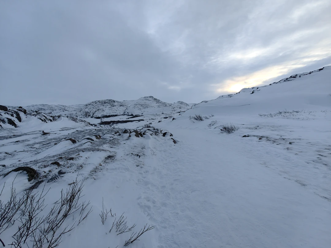 Были на экскурсии 22.02.2026 в Териберке с гидом Сергеем и водителем Антоном. Очень понравилась организация, рассказы
