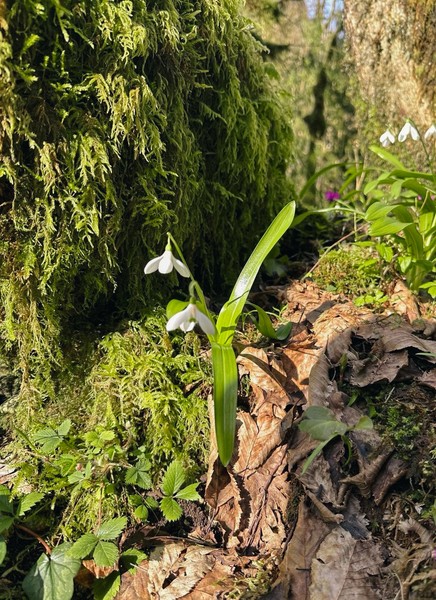 Нашим экскурсоводом был Славик, и это было одно из лучших наших путешествий. На экскурсии была создана