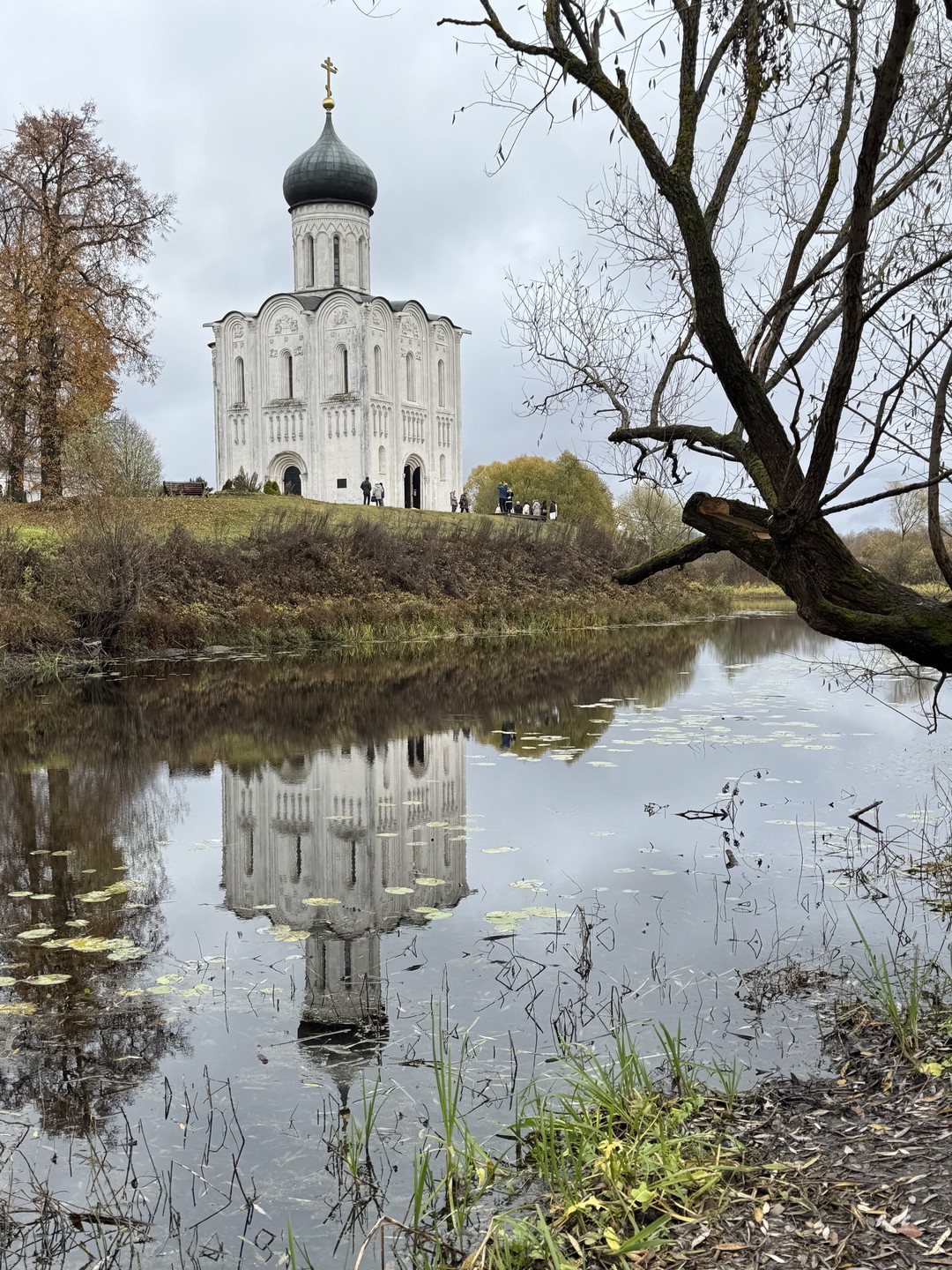 Здравствуй, Владимир (Марина)