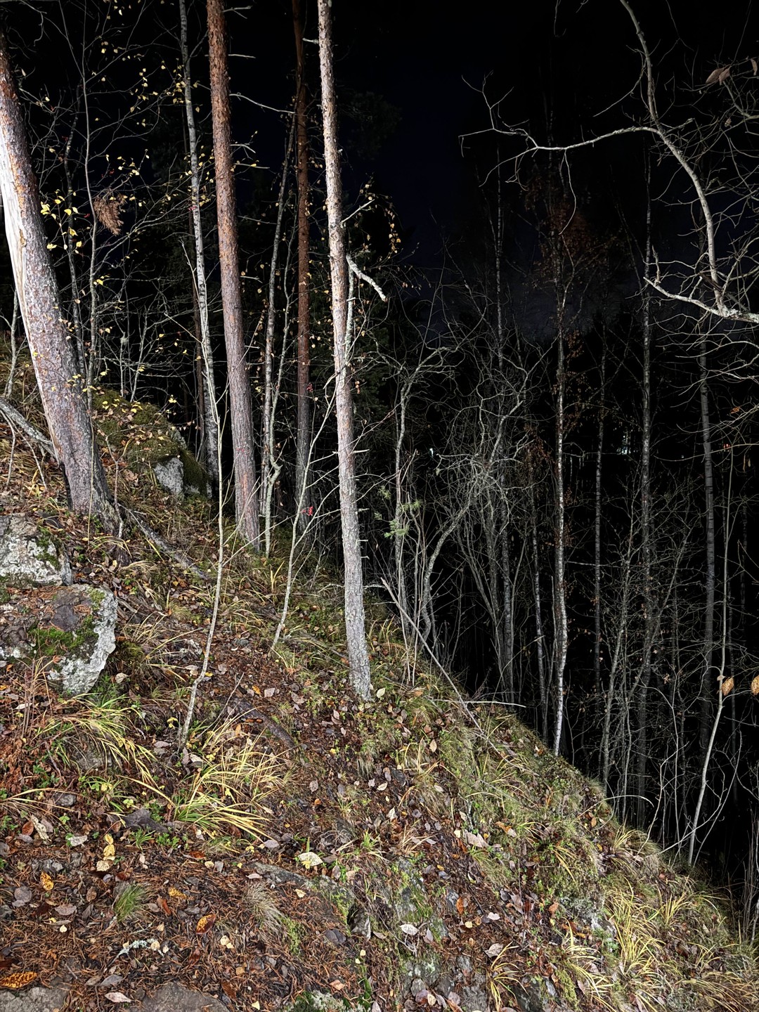 Очень было круто! И то что поехали во второй половине дня и было на горе темно