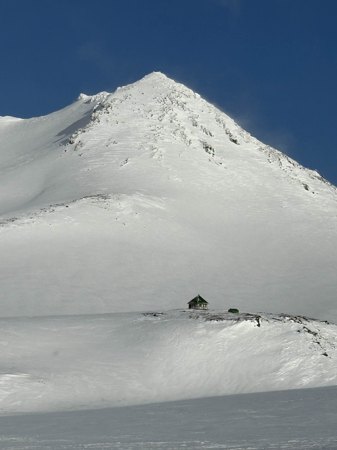 Незабываемое приключение: восторг от начала до конца!