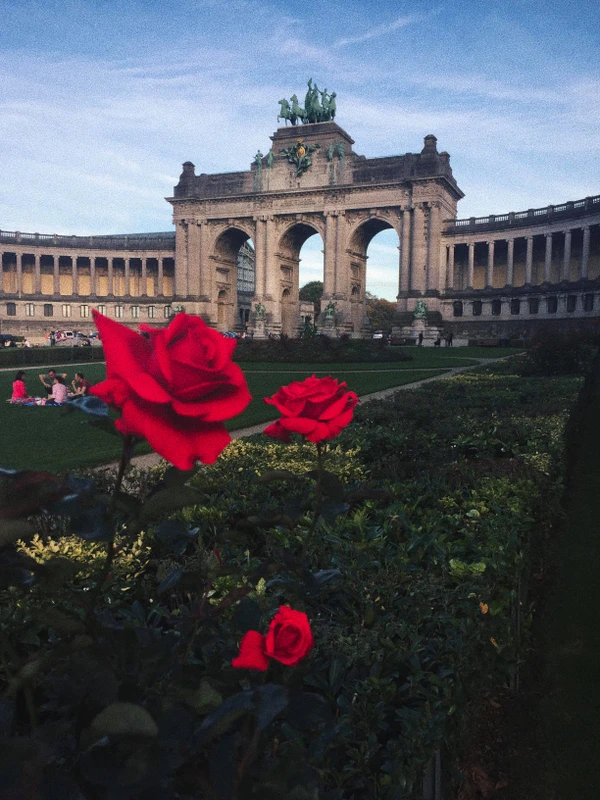 Брюссель за один день