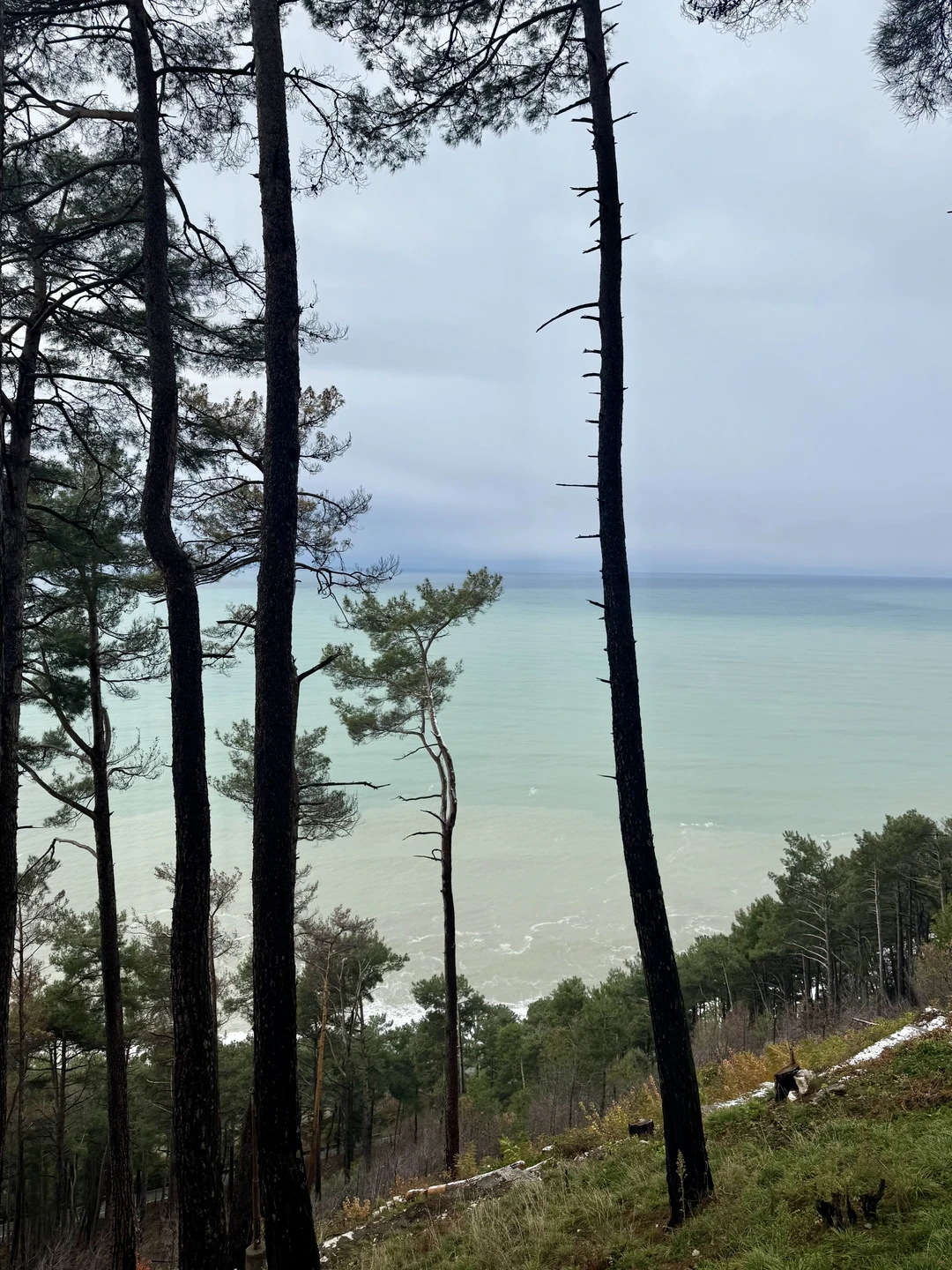 Были на экскурсии в конце декабря с Вячеславом. Он - отличный гид, рассказчик и водитель. Экскурсия