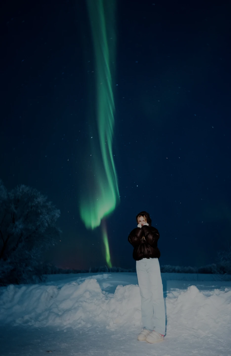 В погоню за полярным сиянием (Фисенко)