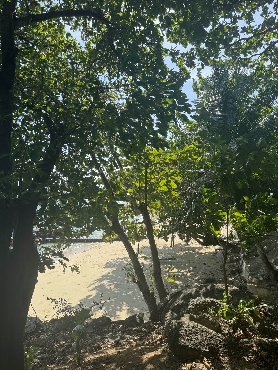 Отличная морская экскурсия. Словили рыбу, вкусный обед, отличные купания. Юрий шикарный гид