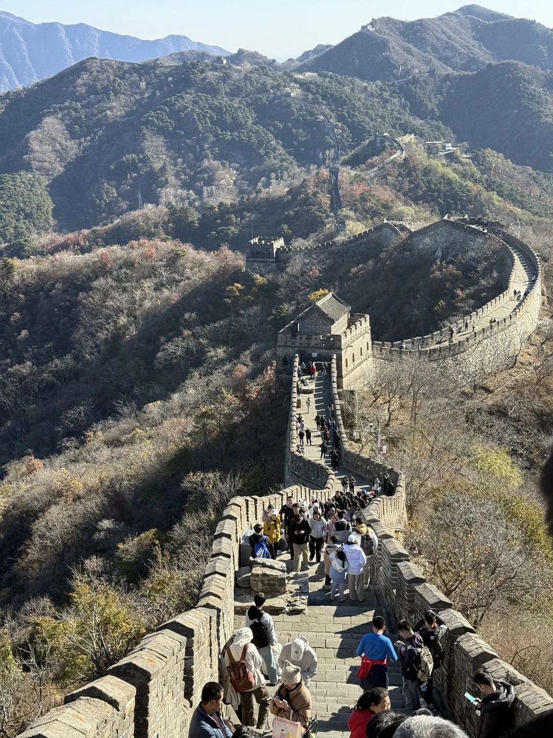 Договаривались заранее о встрече в аэропорту Пекина, так как в Китае были транзитом. Встретили вовремя, отвезли