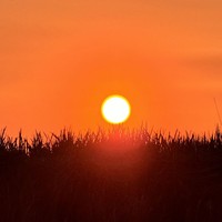 Фото путешественника — 6