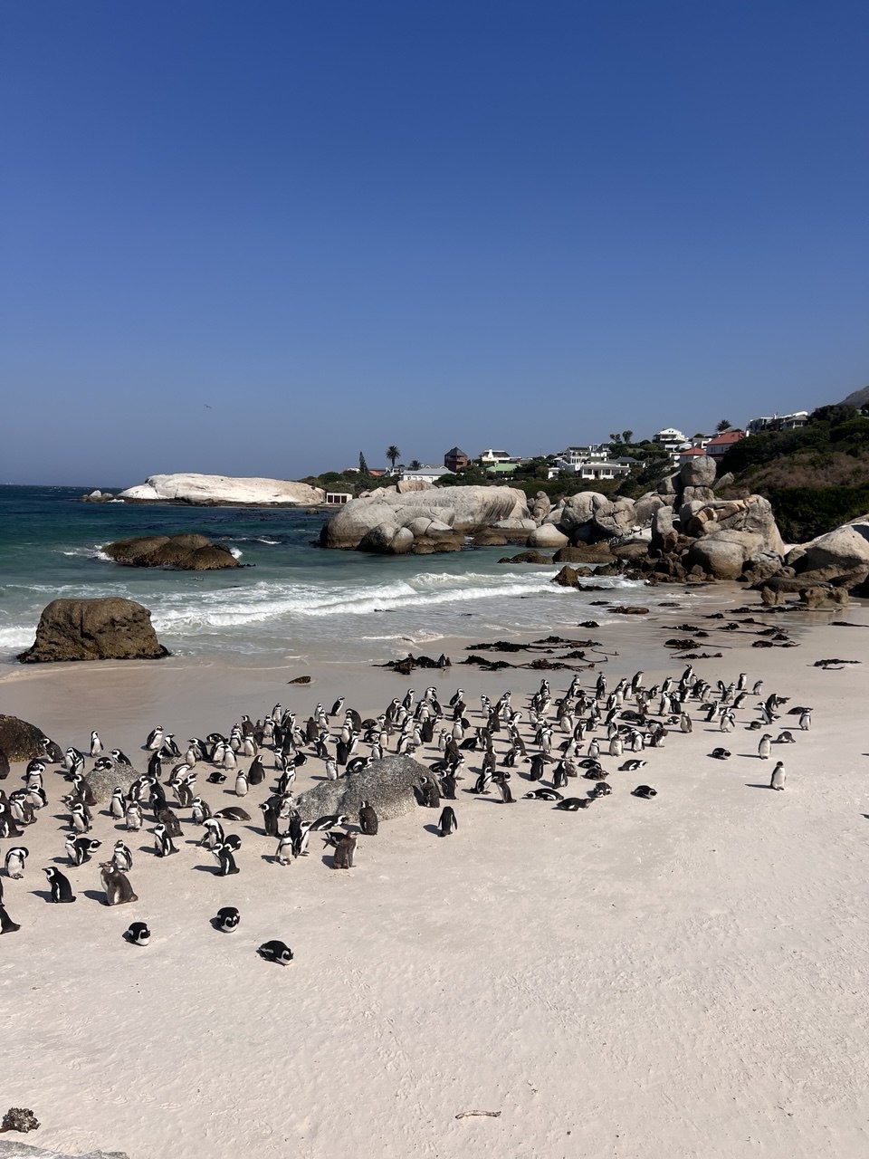 Экскурсию проводил Константин Садченко. Практически 12 часов мы ездили по локациям, и Константин рассказал всю историю