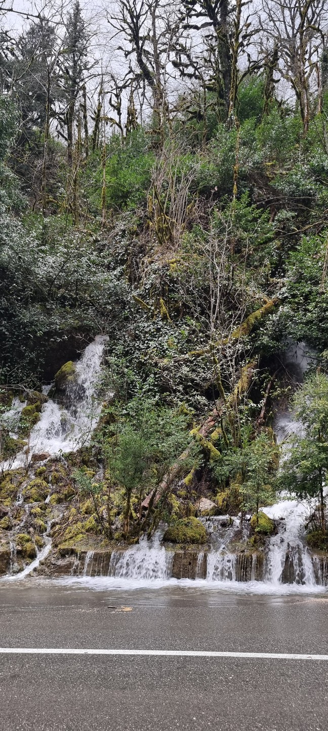 Влюбиться в Абхазию! Поездка из Сочи в мини-группе (Наталья)