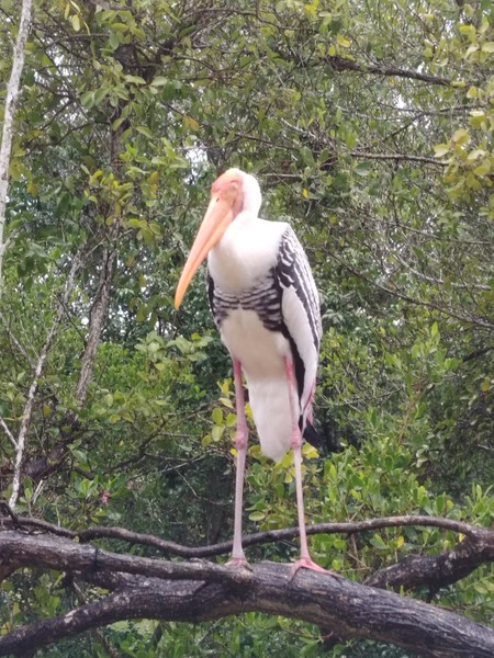 Сказать, что я чудесно провела день, это ничего не сказать. Я в полном восторге от экскурсии