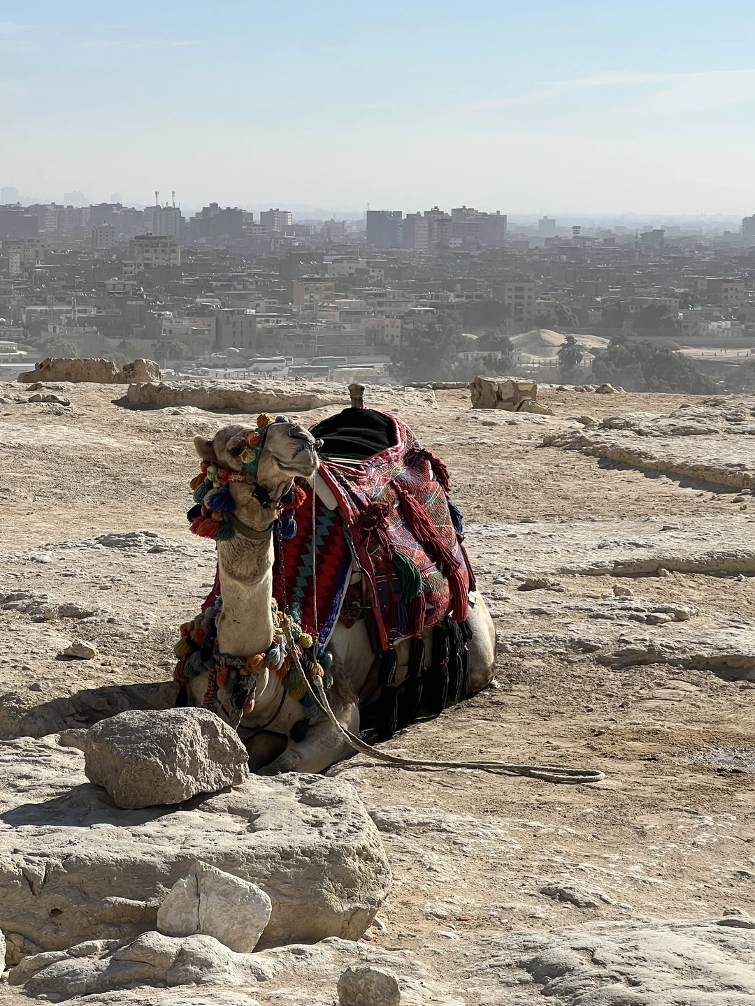 Лучшие места Каира: пирамиды, Сфинкс, Большой Египетский музей (Юлия)