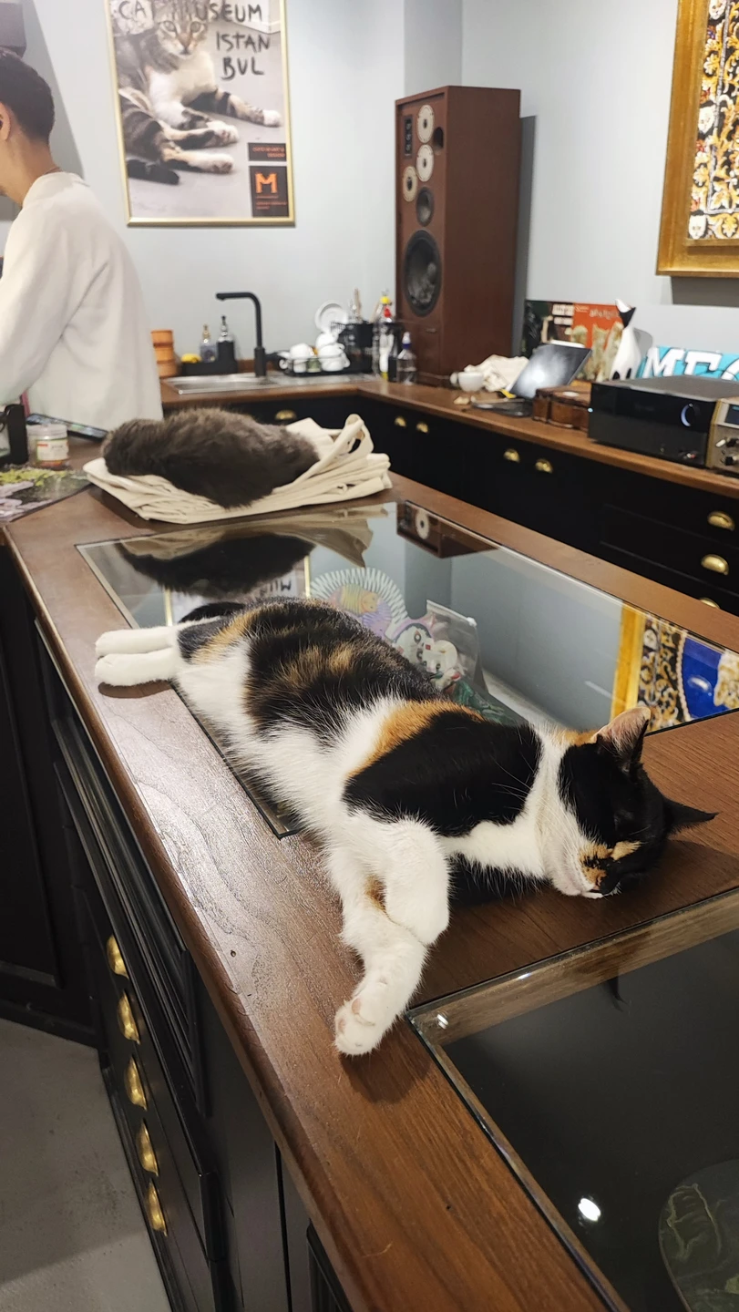 С большим удовольствием оставляю отзыв на тур Екатерины. Наш отпуск получился замечательный, впечатления остались самые положительные.