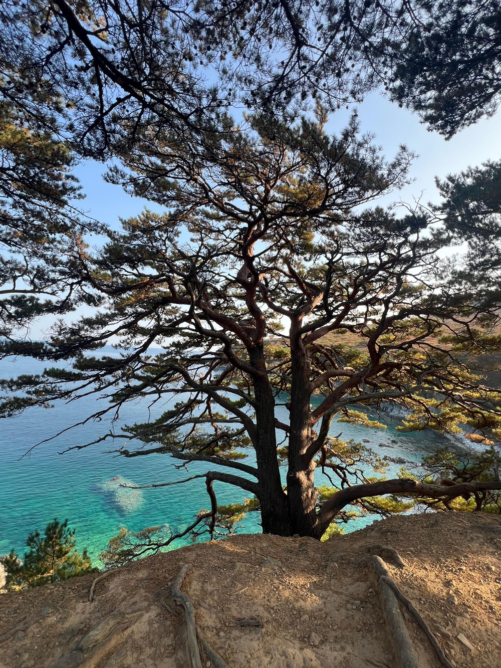 Бухты южного Приморья и парк «Белый лев» — из Владивостока (8/20)