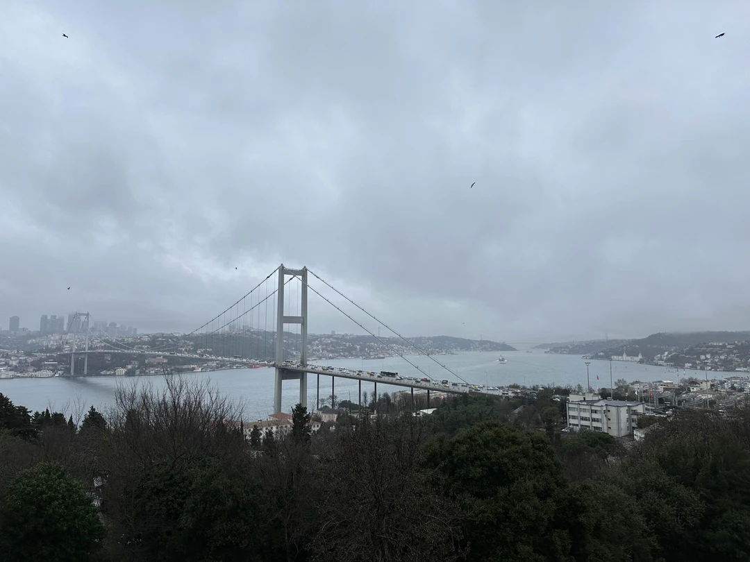 Отличный вариант для любой погоды! Сегодня был дождь, +4, но мы провели отличный день в компании