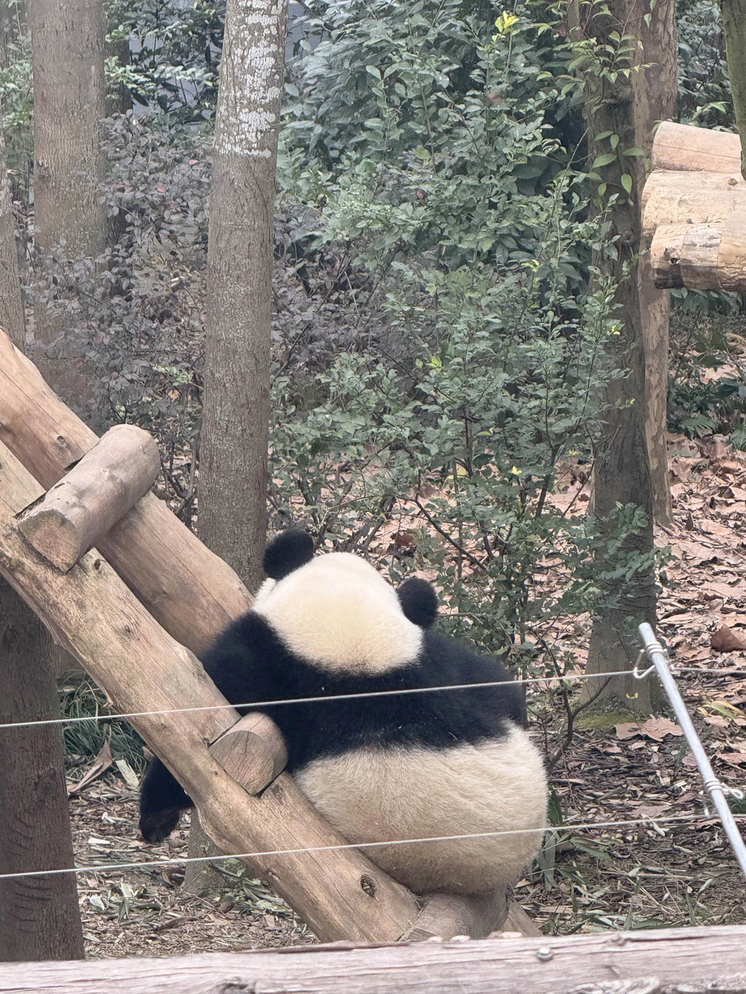 Огромное спасибо за проведенную экскурсию) Отличный автобусик, который прекрасно вместил и нас и багаж. Экскурсовод Ксюша