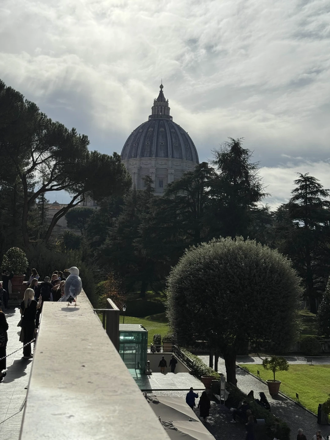 Экскурсовод Елена, провела экскурсию в Ватикане и Соборе Св. Петра. Понравилось, узнали много нового