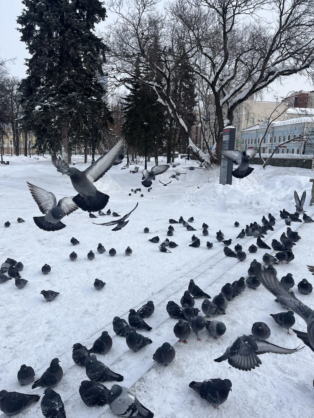 Девочки молодцы! Очень интересная экскурсия, они знают историю своего города и любят его - это чувствуется! Спасибо!