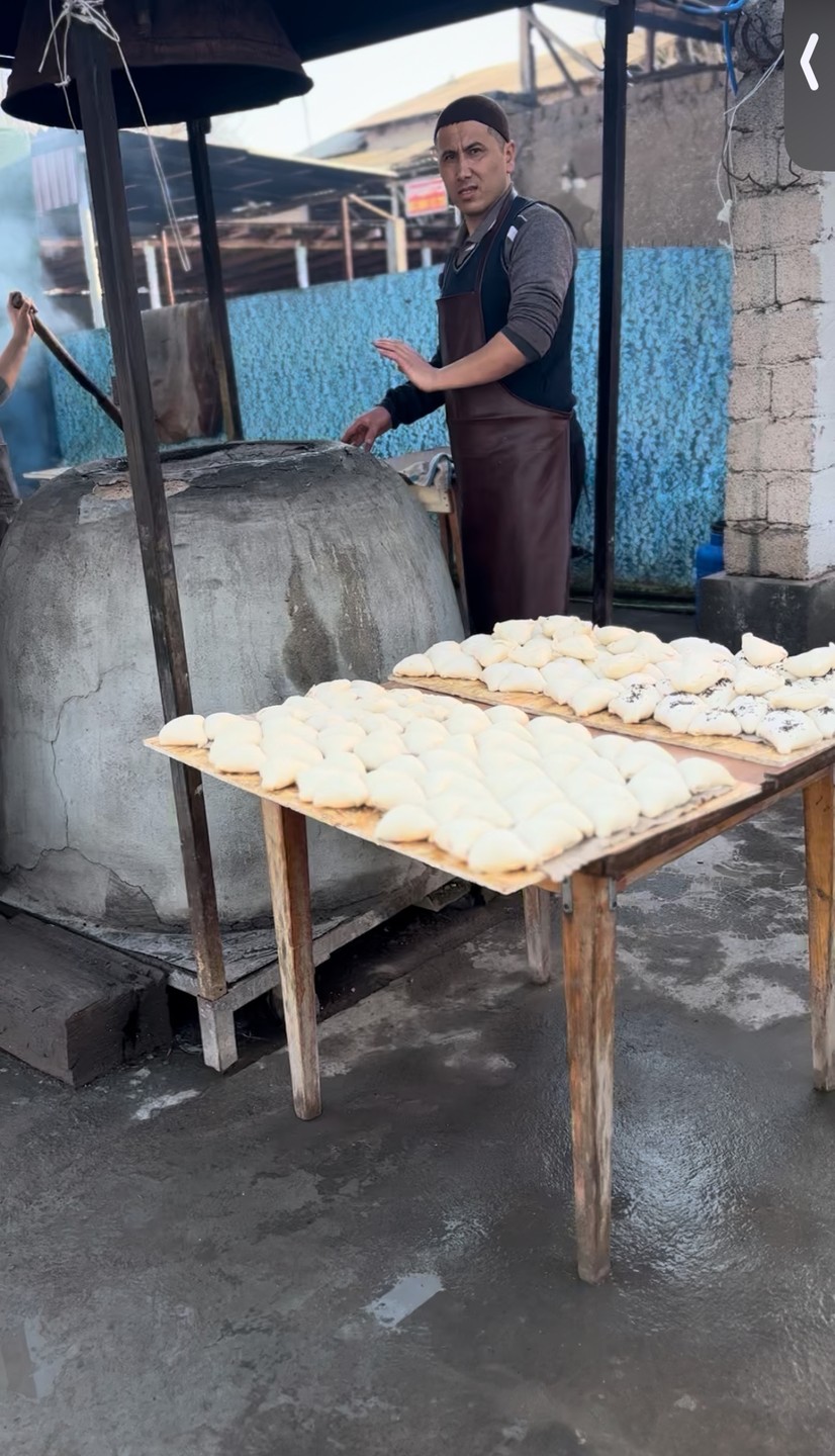 На электромобиле к тянь-шаньским горам - из Ташкента (Татьяна)