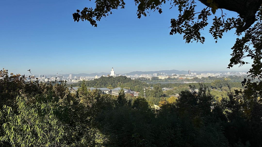 Пекин и Великая Китайская стена за 1 день: индивидуальная VIP-экскурсия (Елена)