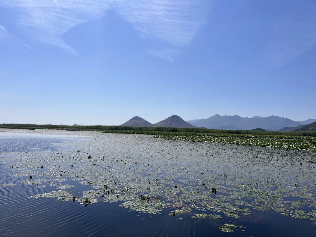 Татьяна отлично организовала экскурсию! Получилась душевная, вкусная и запоминающаяся поездка. Интересно было узнать не только про