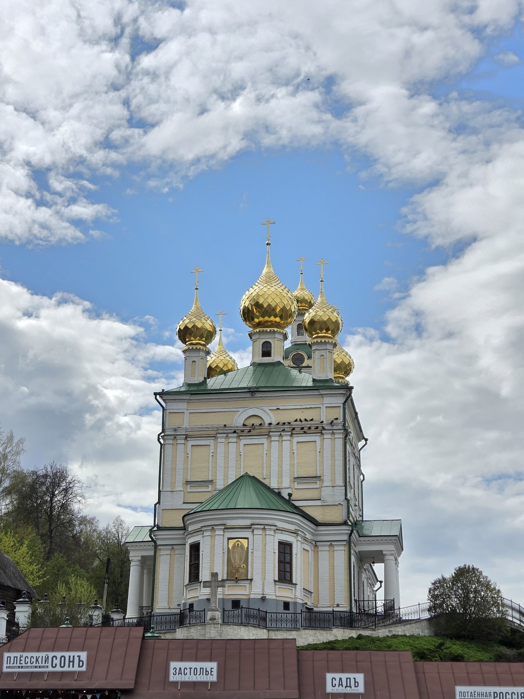 Однозначно рекомендую Елену. Не первый раз были в Плесе, но узнали много нового. Детям тоже было интересно.