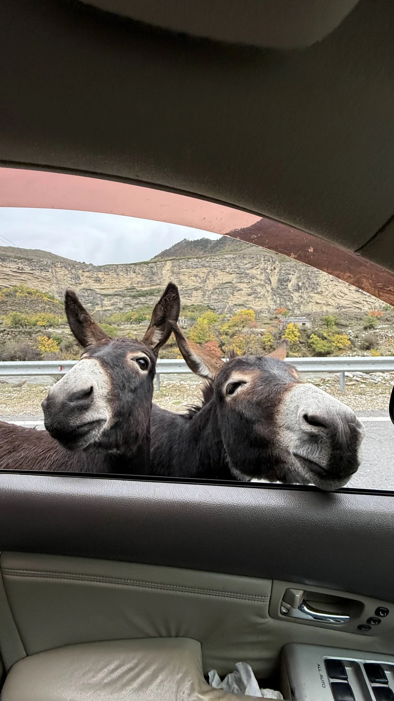 В объятиях гор Дагестана: красивые места, старинные башни и атмосферные аулы (Екатерина)