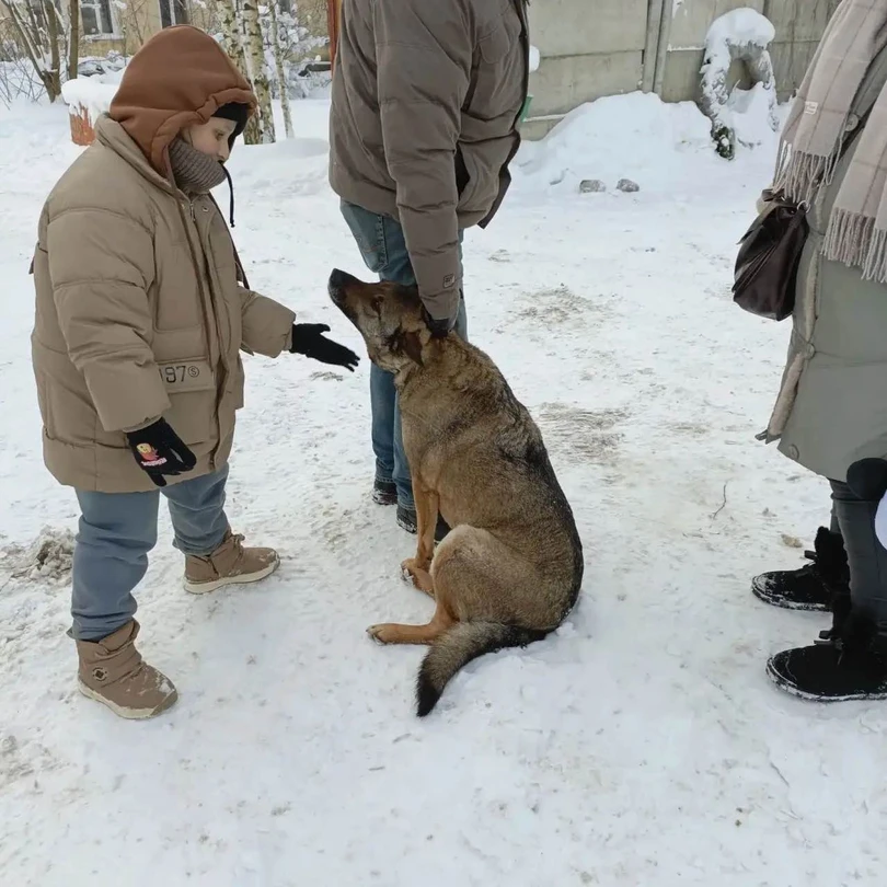 Недоставало более детальной экскурсии. В целом очень отзывчивый организатор, старался учесть все наши пожелания, но сложилось