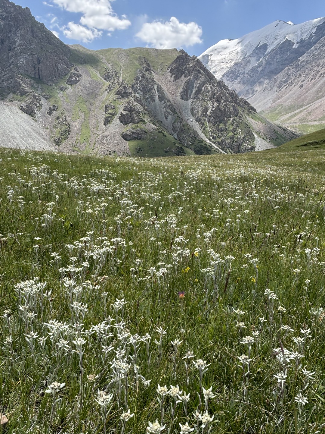 Великолепная во всех отношениях экскурсия, отличная погода, замечательные места и классный гид! Все получилось на 5 с плюсом!!!