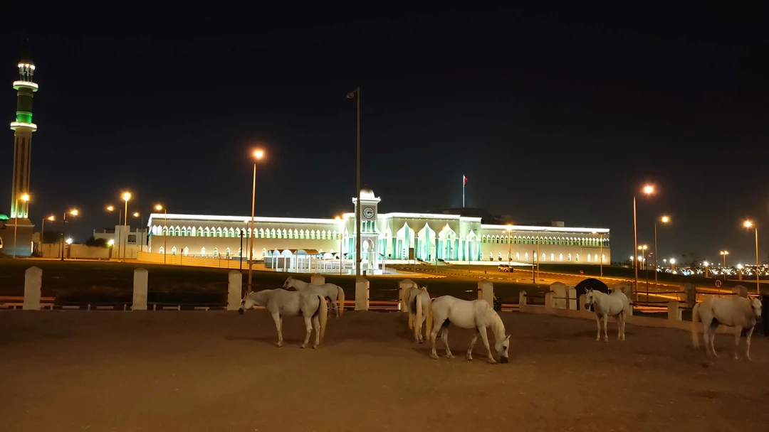 У нашей группы (20+ человек) была длительная ночная пересадка в Дохе. Искали разные варианты. Уже стало