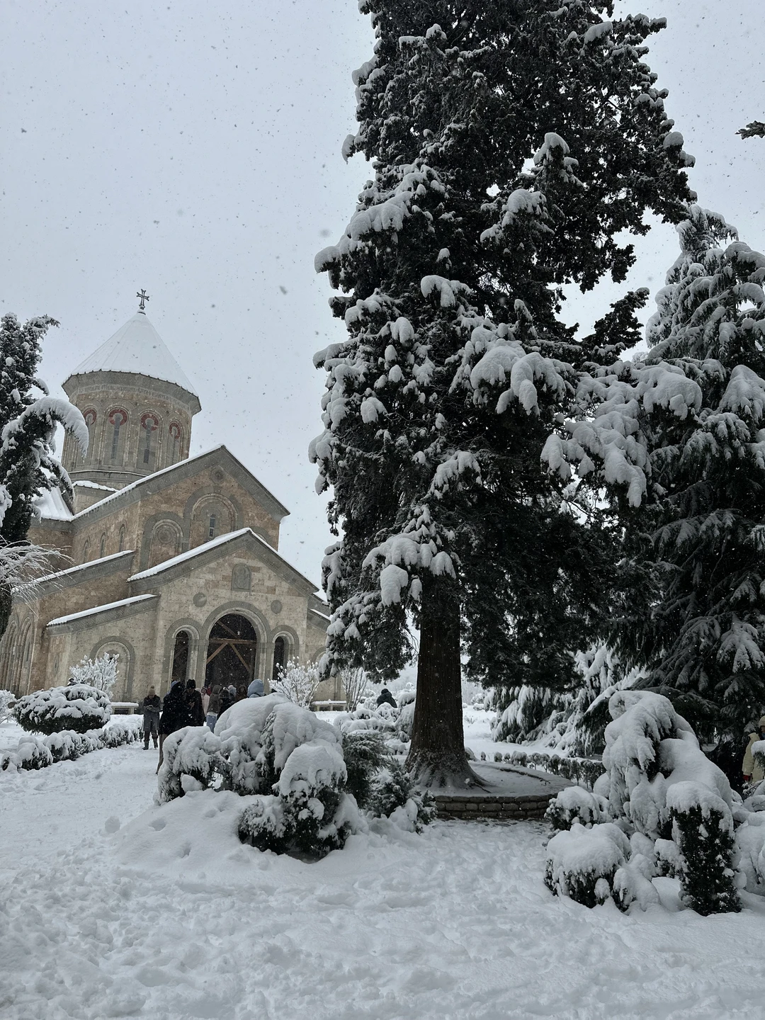 Кахетия: вино, легенды и красота (в группе) (Юлия)