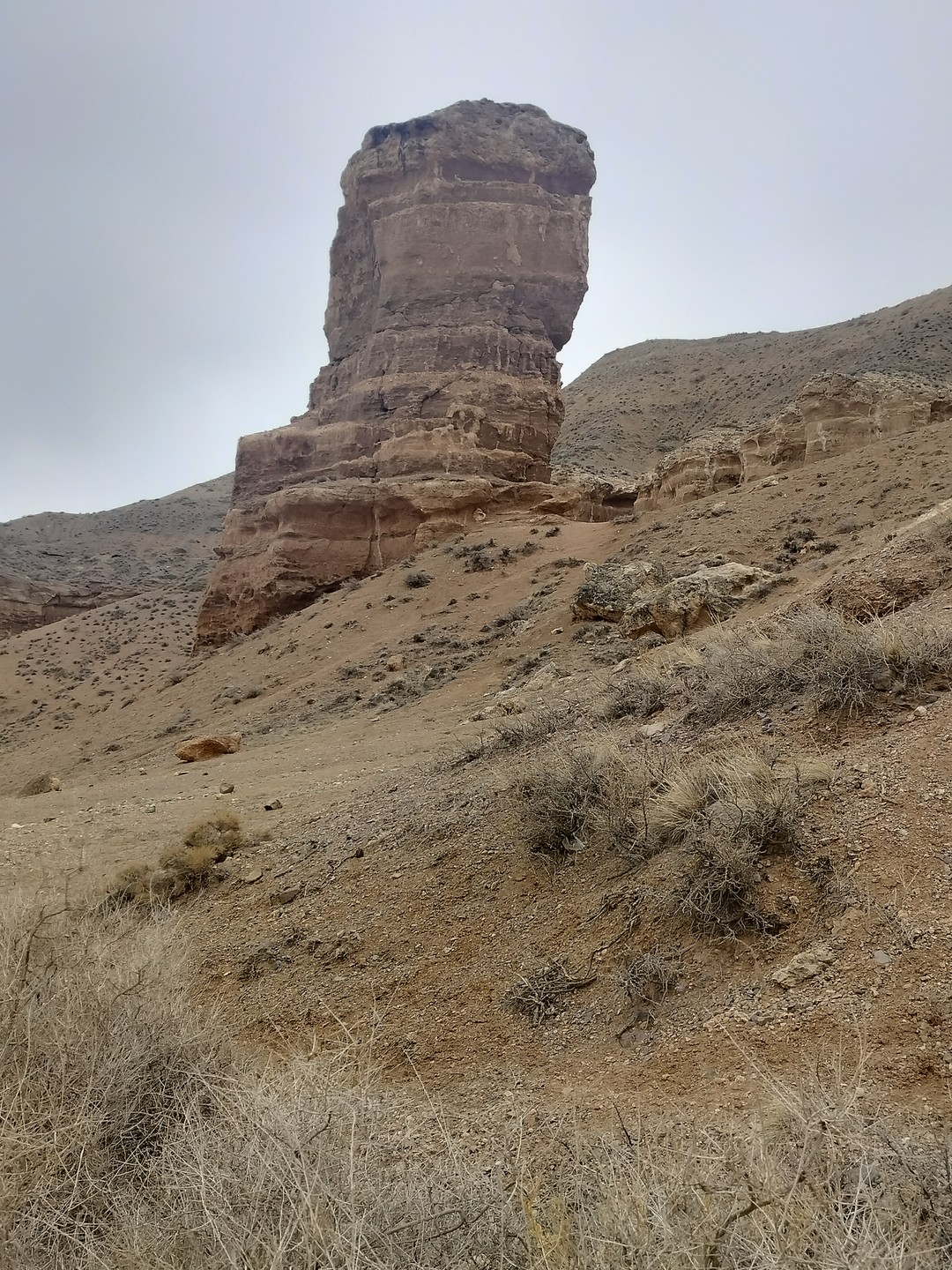 Замечательные организаторы. Внимательные к деталям и к каждому участнику