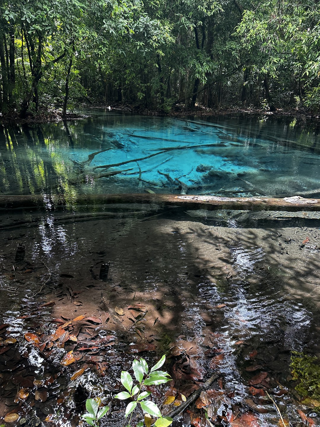 Интересная экскурсия с хорошо продуманным маршрутом. Гид Владимир не торопил нас, в комфортном темпе без дикой спешки успели посетить все места