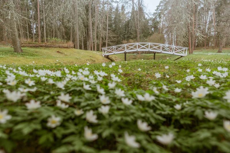 Групповая автобусная экскурсия в Пушкинские Горы