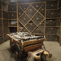 Фото отзыва 4: экскурсия ""