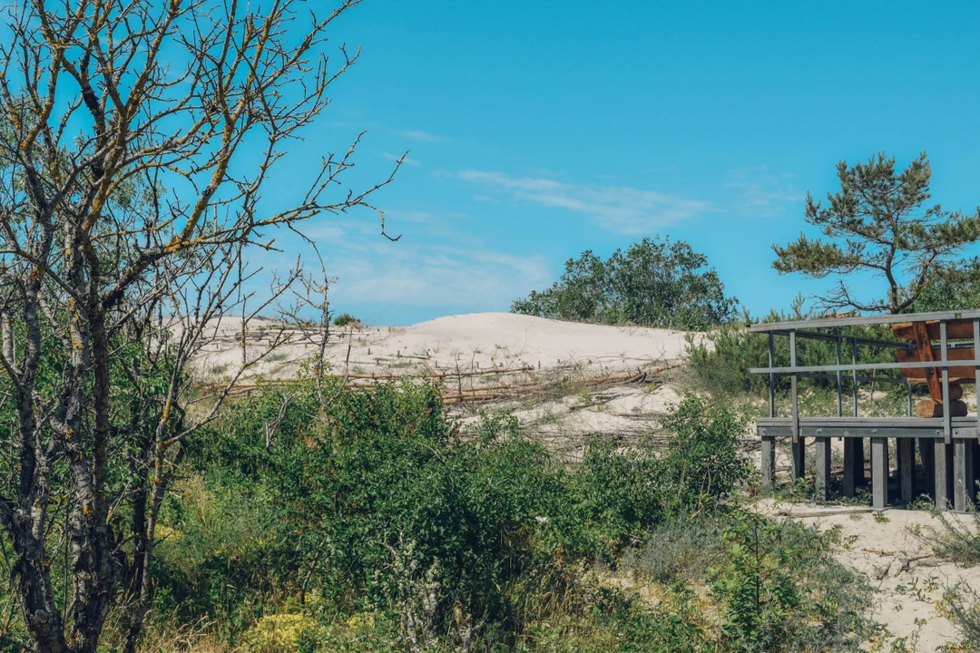 Творческая фотопоездка по Куршской косе (Ирина)