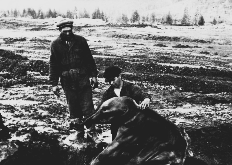 Мобильный квест в Магадане «Мамонтёнок Дима: дело о загадочной гибели»