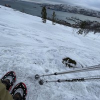 reviews img