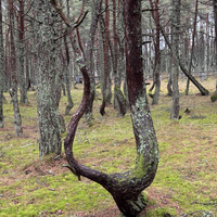 Фото отзыва 7: экскурсия "Виллы, форт, коса, курорт... и замок!"